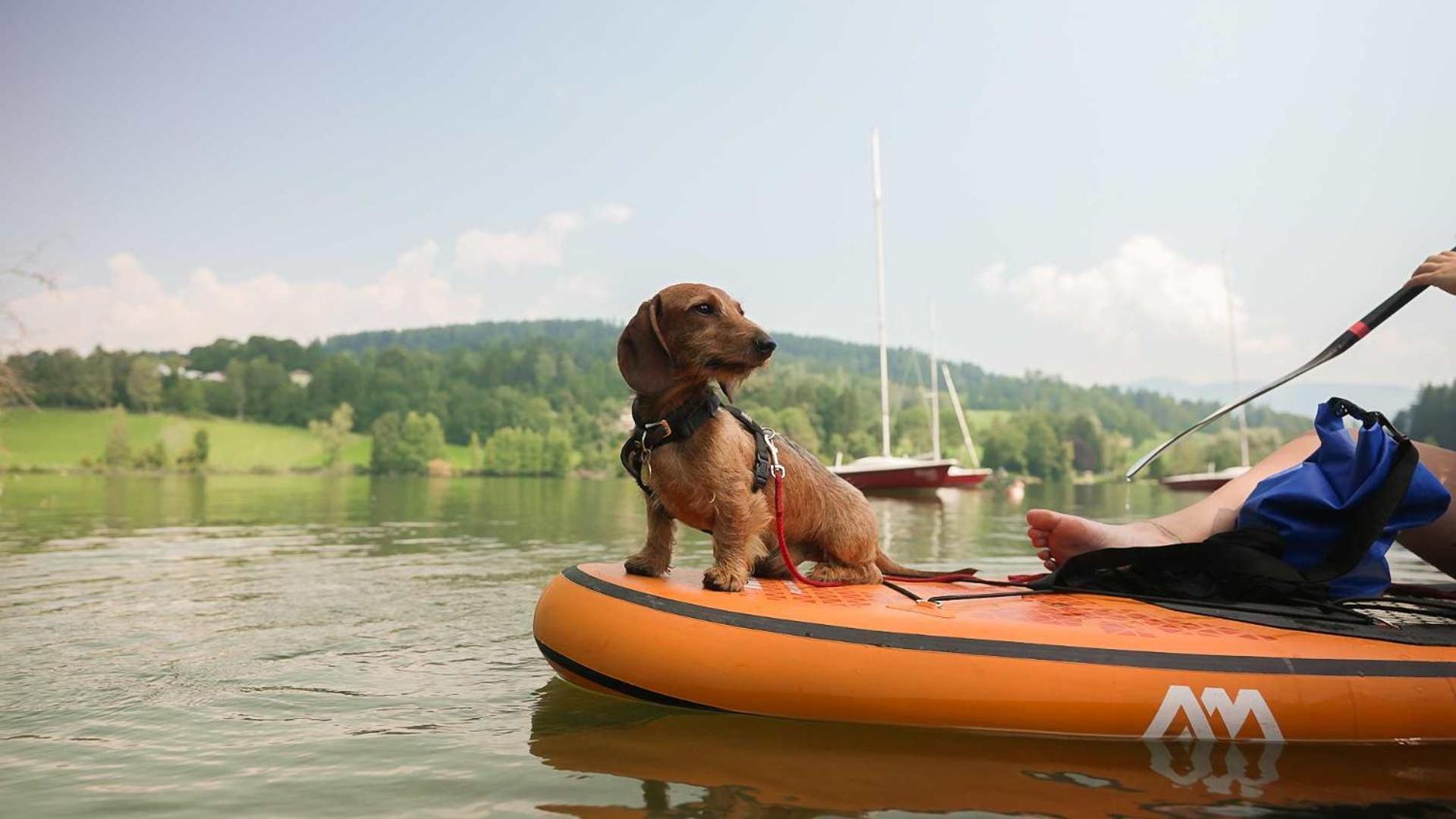 Feriendorf Am Maltschacher See Feldkirchen in Kärnten Zewnętrze zdjęcie